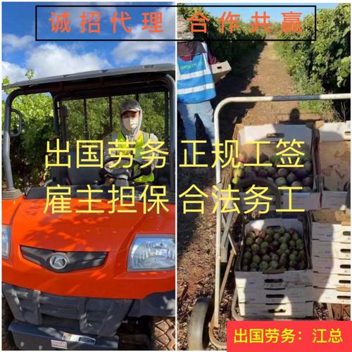 四川海聘勞務服務成立于2018年10月18日